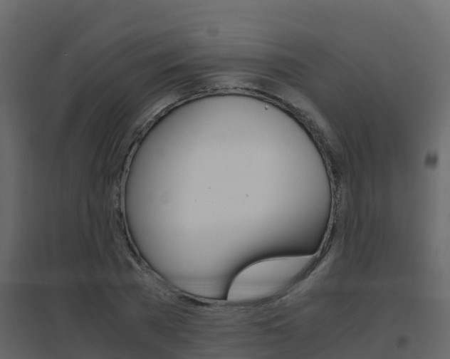 X0000096700785200802051100