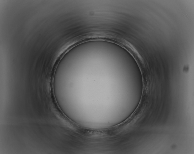 X0000096700786200802051100
