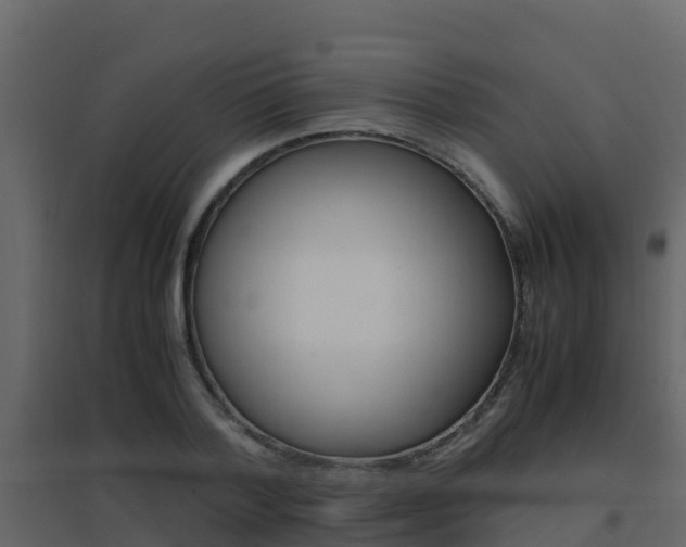 X0000096700788200802051100