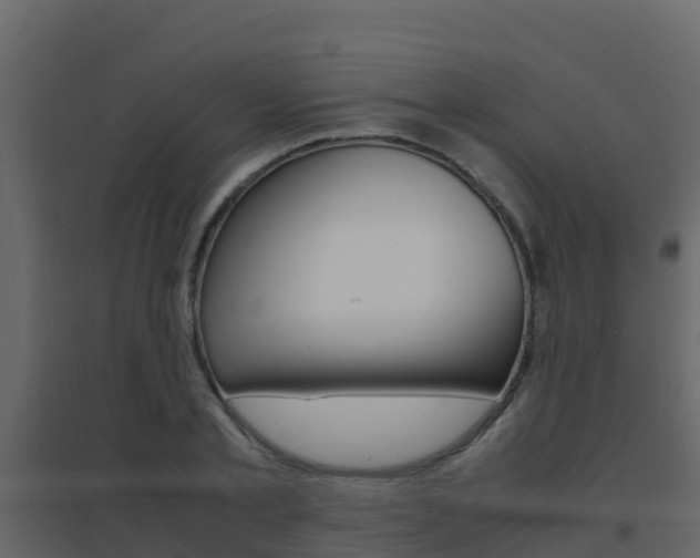 X0000096700789200802051100