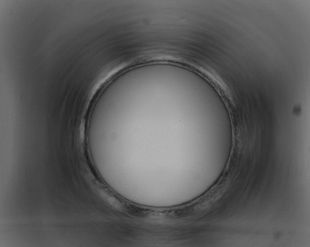 X0000096700790200802051100