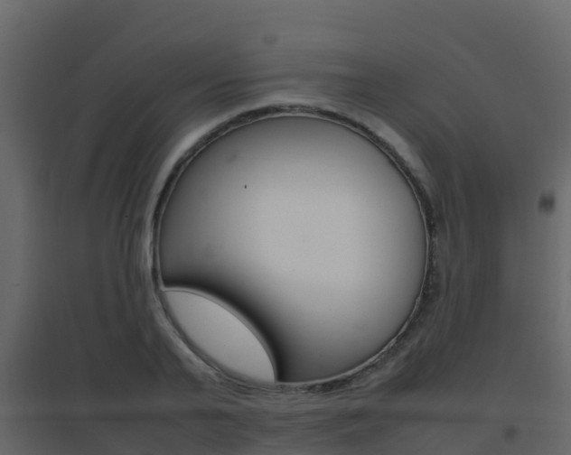 X0000096700791200802051100