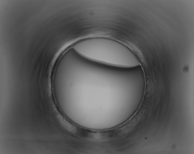 X0000096700792200802051100