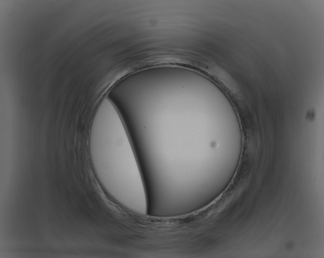 X0000096700793200802051100
