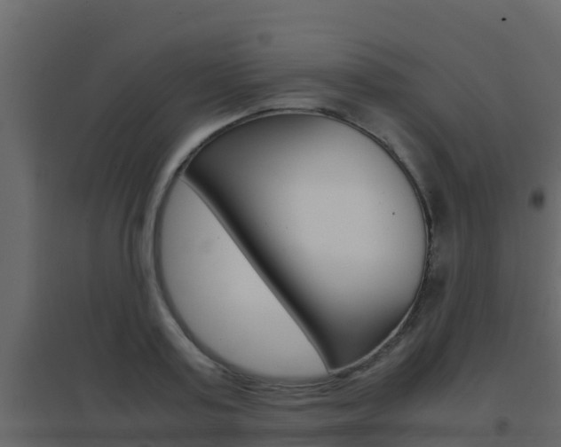 X0000096700795200802051100