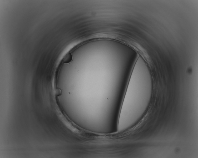 X0000096700796200802051100