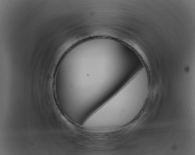 X0000096700799200802051100