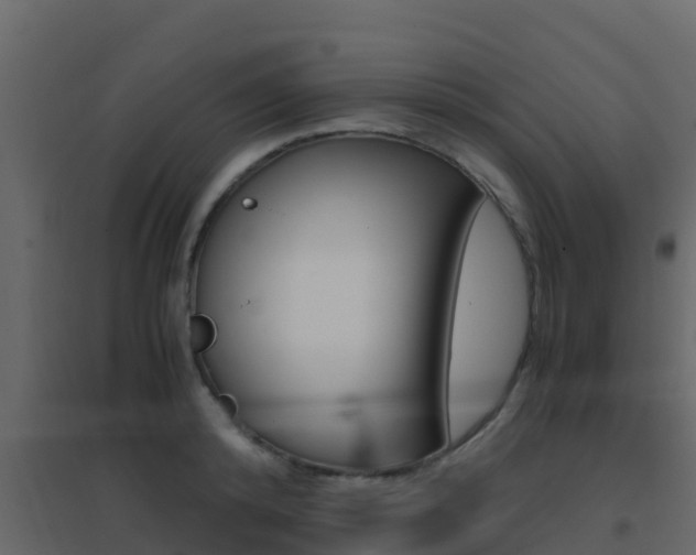 X0000096700800200802051100
