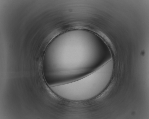 X0000096700801200802051100