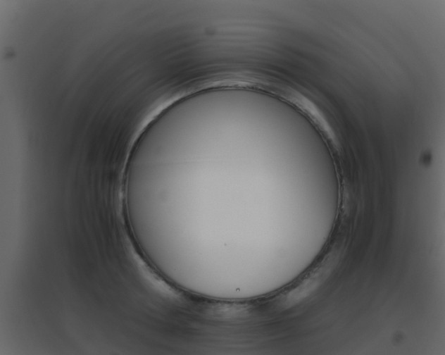 X0000096700802200802051100