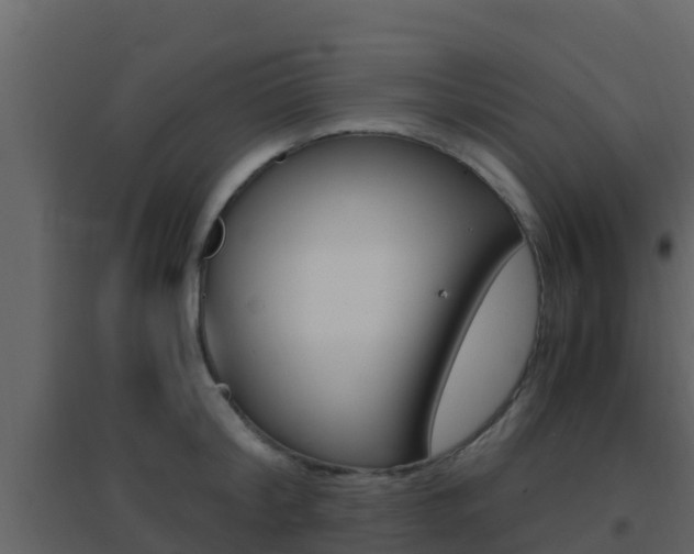 X0000096700804200802051100