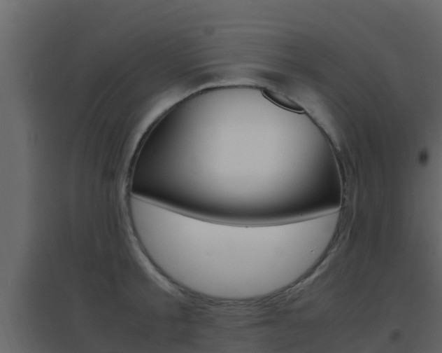 X0000096700805200802051100