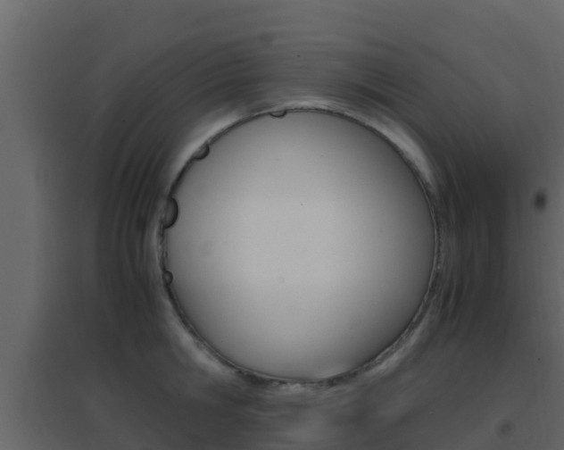 X0000096700806200802051100
