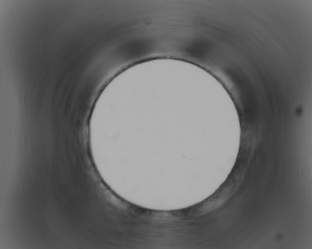 X0000096700807200802051100