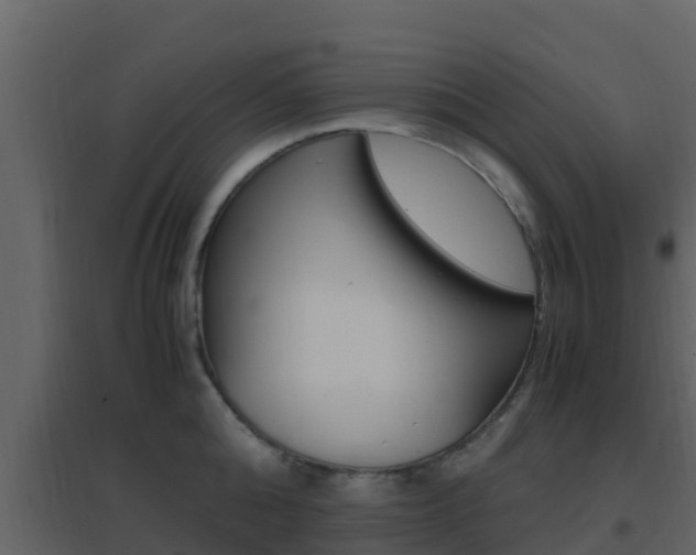 X0000096700808200802051100