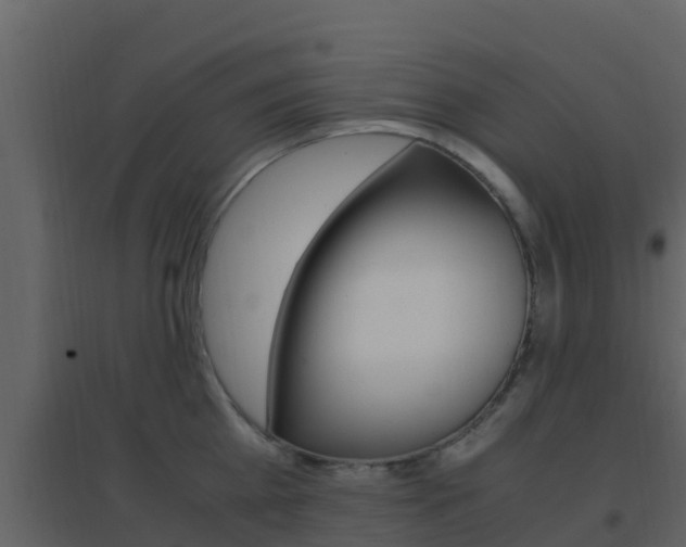 X0000096700809200802051100