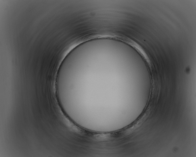 X0000096700810200802051100