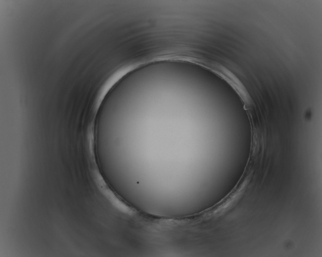 X0000096700812200802051100