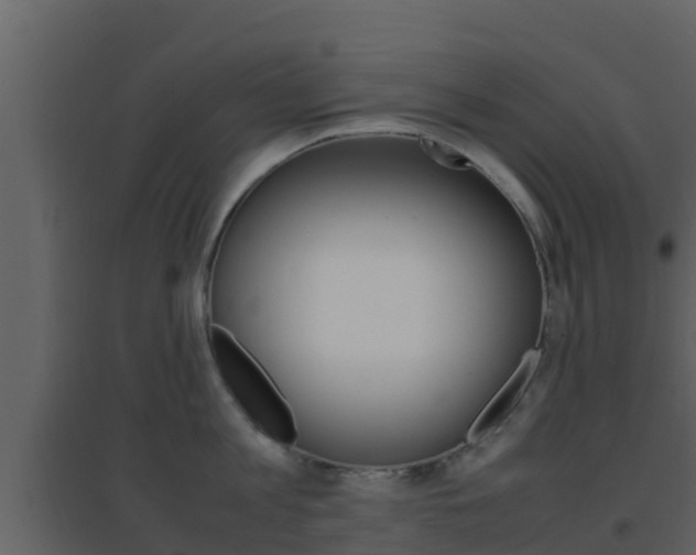 X0000096700813200802051100