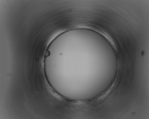 X0000096700814200802051100