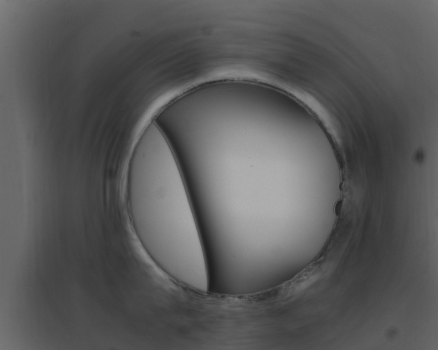 X0000096700815200802051100