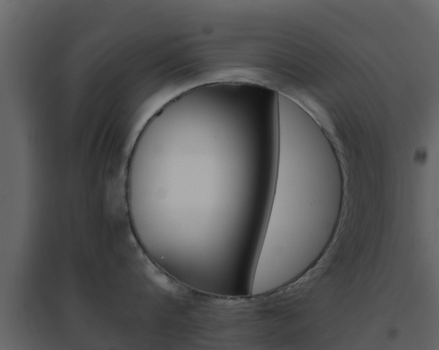 X0000096700816200802051100