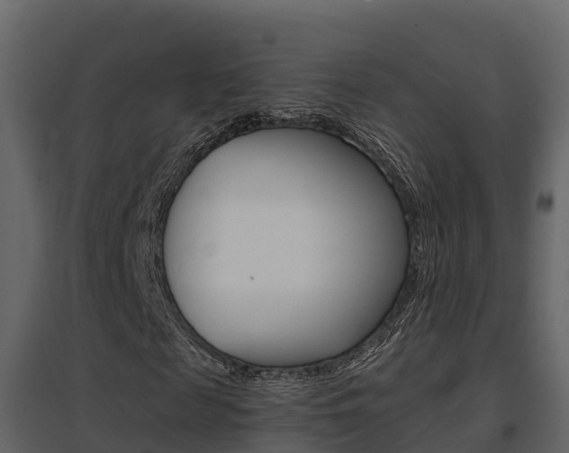 X0000096700817200802051059