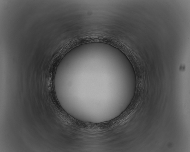 X0000096700818200802051059