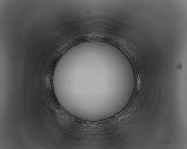 X0000096700819200802051059