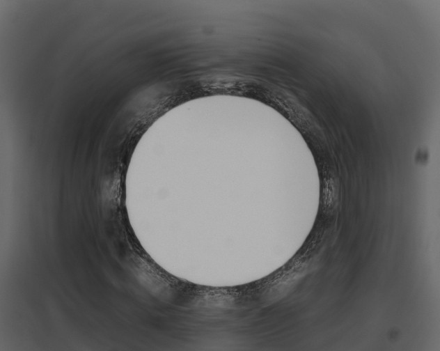 X0000096700820200802051059