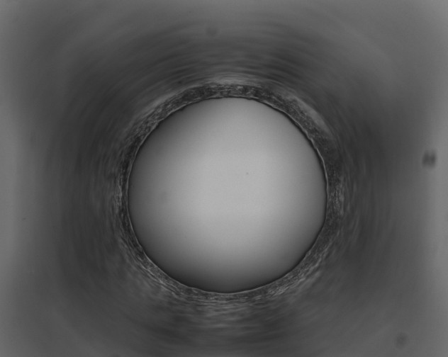 X0000096700821200802051059