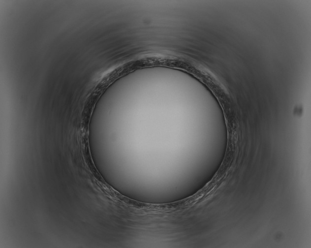 X0000096700822200802051059