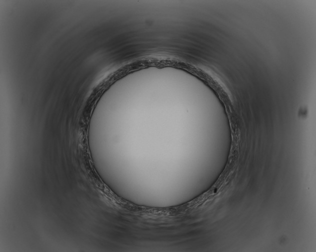 X0000096700823200802051059