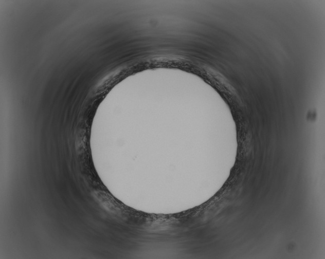 X0000096700824200802051059