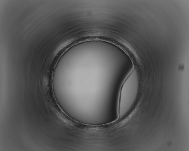 X0000096700826200802051059