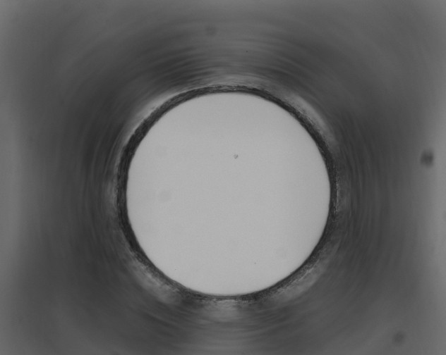 X0000096700828200802051059