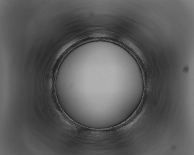 X0000096700829200802051059