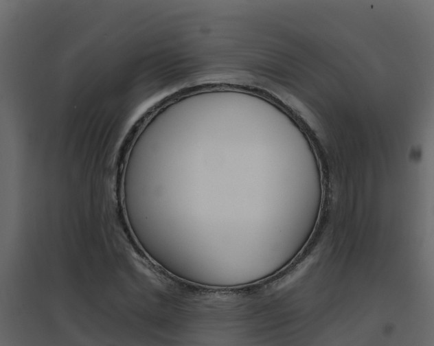 X0000096700830200802051059