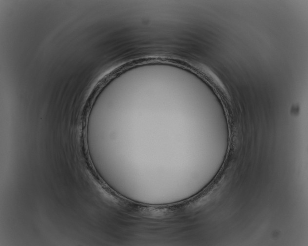 X0000096700831200802051059