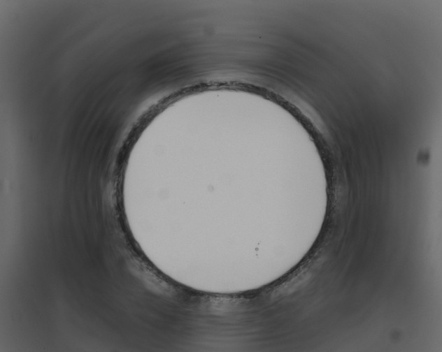 X0000096700832200802051059