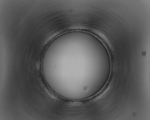 X0000096700833200802051059