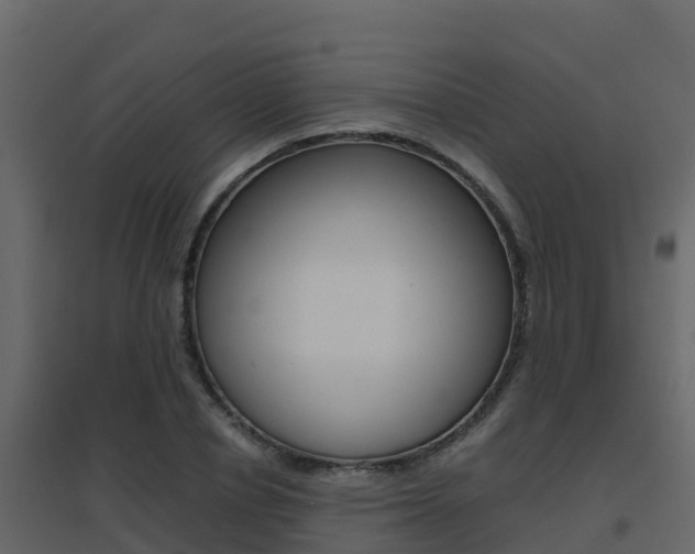 X0000096700834200802051059