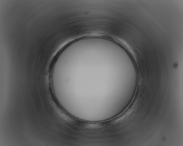 X0000096700835200802051059