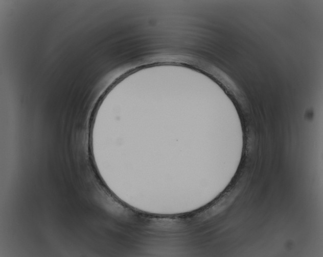 X0000096700836200802051059