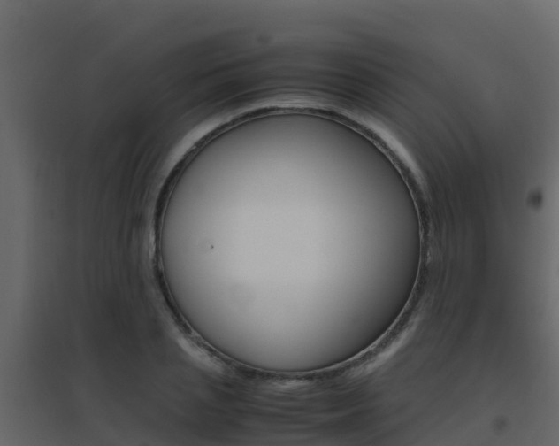 X0000096700837200802051059