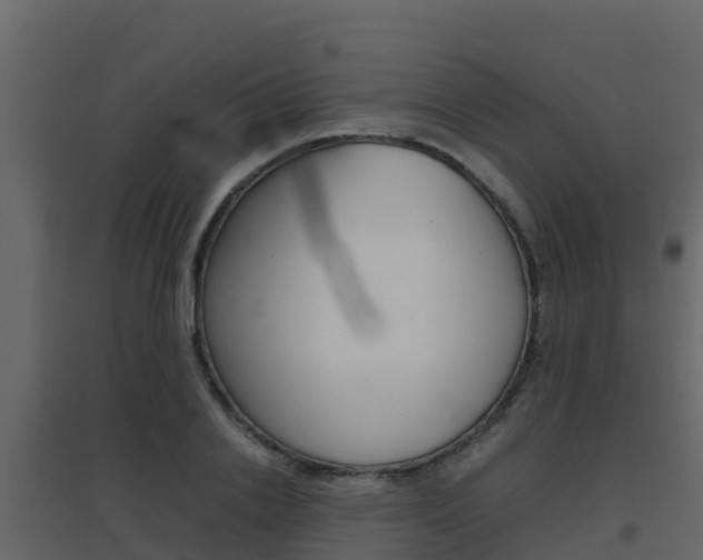 X0000096700838200802051059