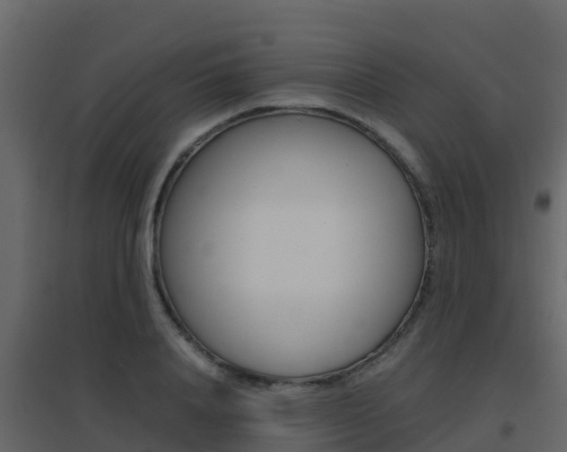 X0000096700840200802051059