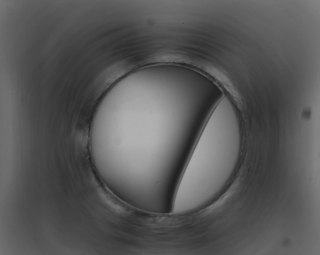 X0000096700841200802051059