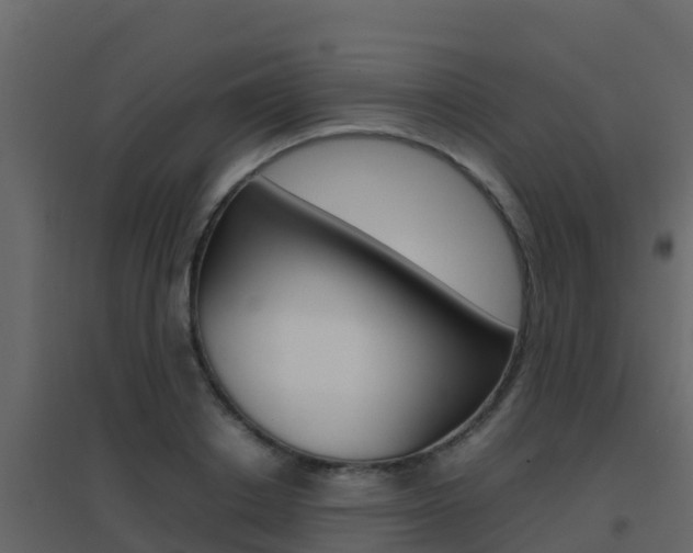 X0000096700842200802051059