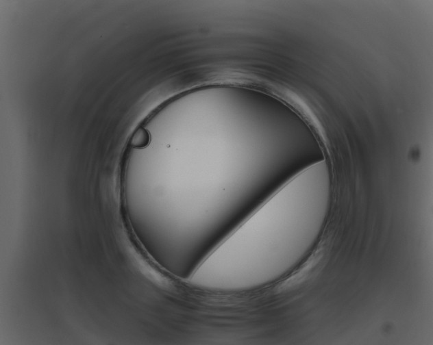 X0000096700843200802051059